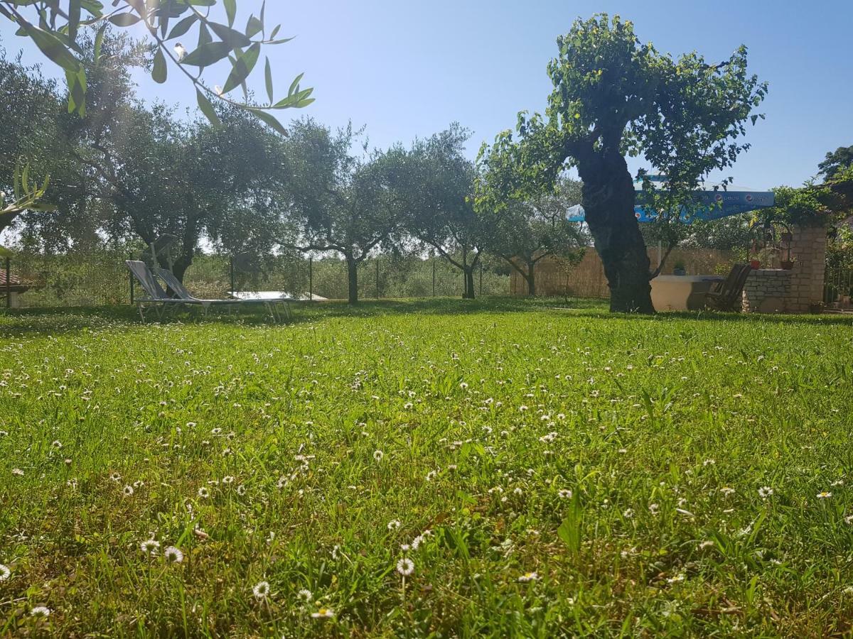 Casa Istria Villa Buje Bagian luar foto